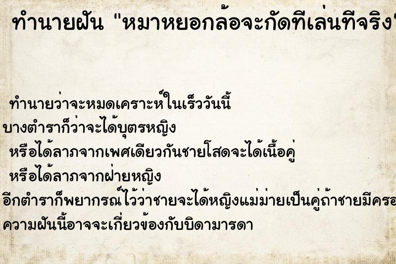 ทำนายฝัน หมาหยอกล้อจะกัดทีเล่นทีจริง ตำราโบราณ แม่นที่สุดในโลก