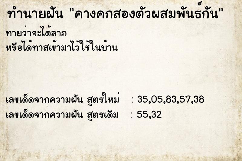 ทำนายฝันทำนายฝันคางคกสองตัวผสมพันธ์กัน