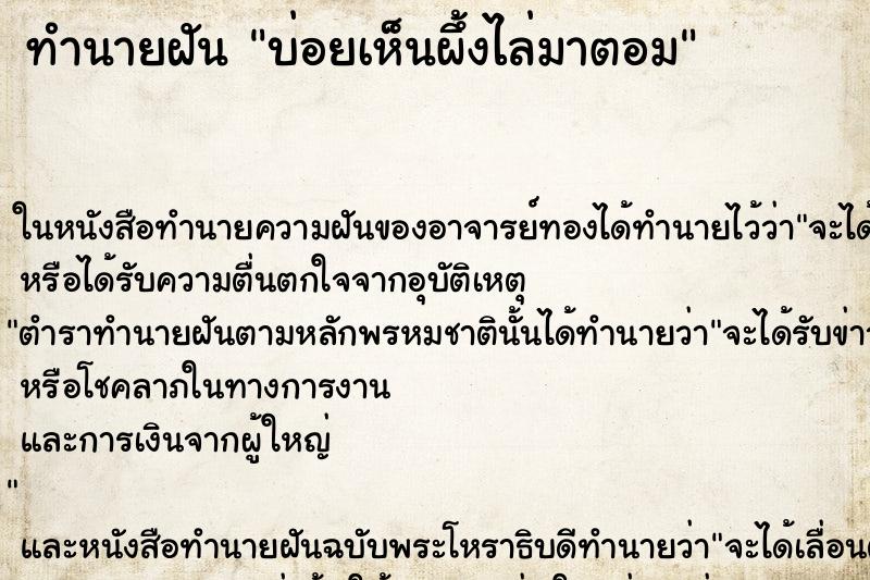 ทำนายฝัน บ่อยเห็นผึ้งไล่มาตอม ทำนายฝัน บ่อยเห็นผึ้งไล่มาตอม