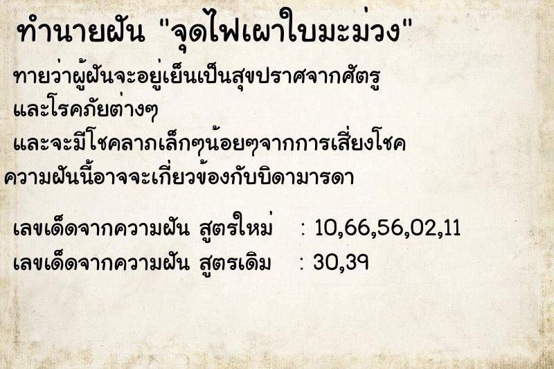 ทำนายฝัน จุดไฟเผาใบมะม่วง