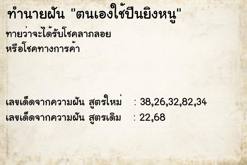 ทำนายฝันตนเองใช้ปืนยิงหนู ทำนายฝันทำนายฝันตนเองใช้ปืนยิงหนู