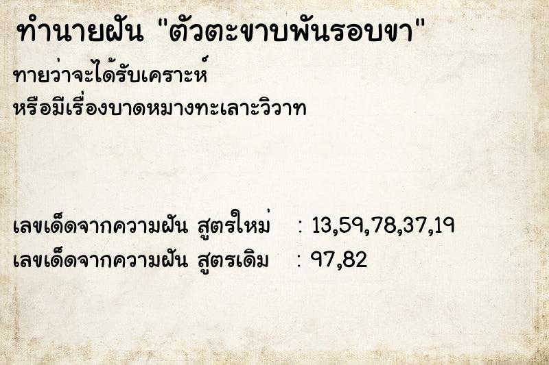ทำนายฝันตัวตะขาบพันรอบขา ทำนายฝันทำนายฝันตัวตะขาบพันรอบขา