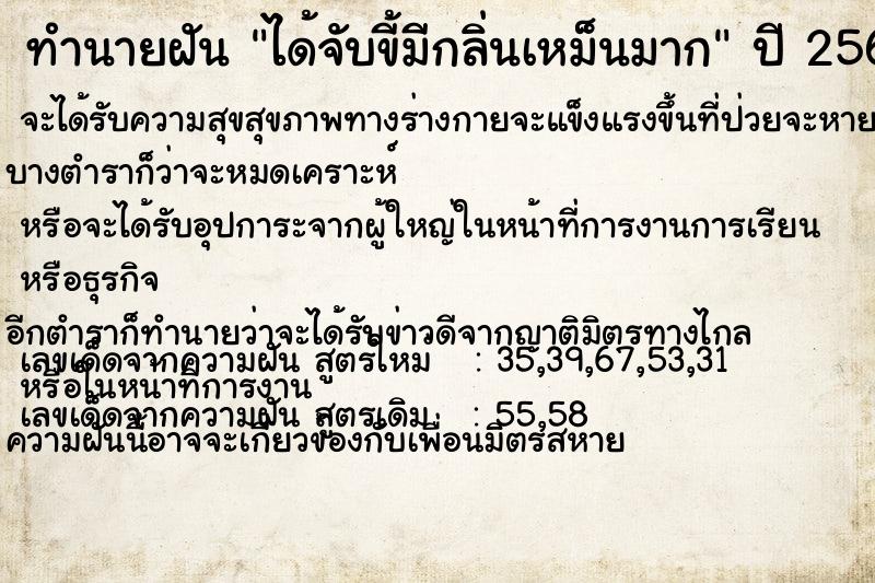 ทำนายฝันทำนายฝันได้จับขี้มีกลิ่นเหม็นมาก