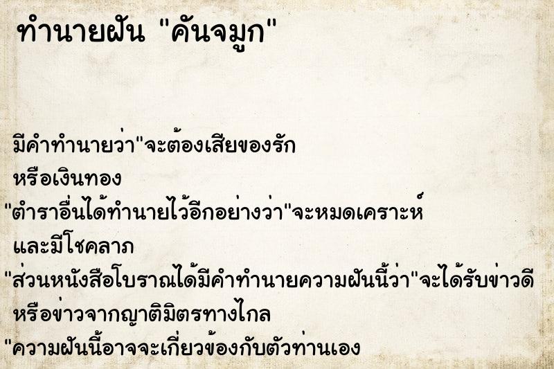 ทำนายฝันคันจมูก ทำนายฝันทำนายฝันคันจมูก