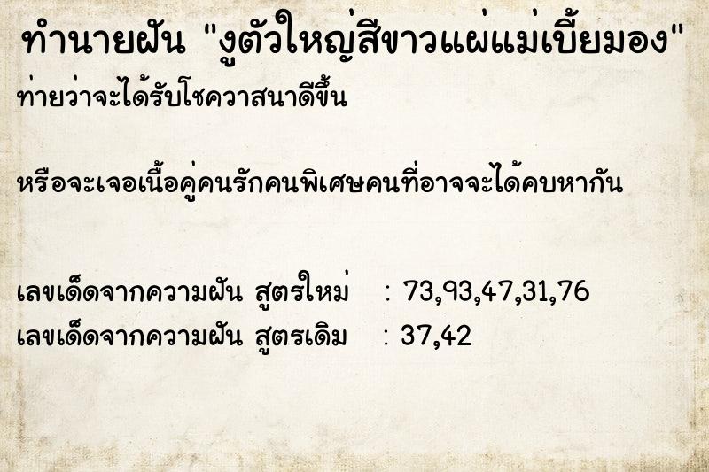 ทำนายฝันงูตัวใหญ่สีขาวแผ่แม่เบี้ยมอง ทำนายฝันทำนายฝันงูตัวใหญ่สีขาวแผ่แม่เบี้ยมอง