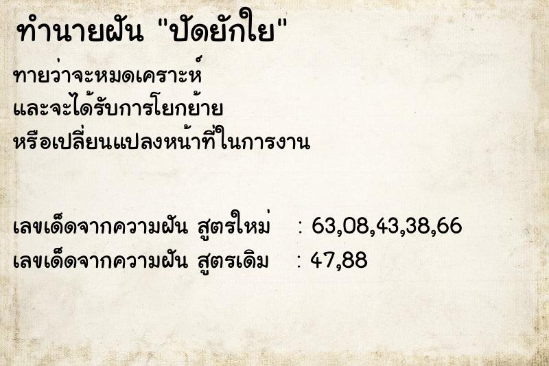 ทำนายฝัน ปัดยักใย ทำนายฝัน ปัดยักใย