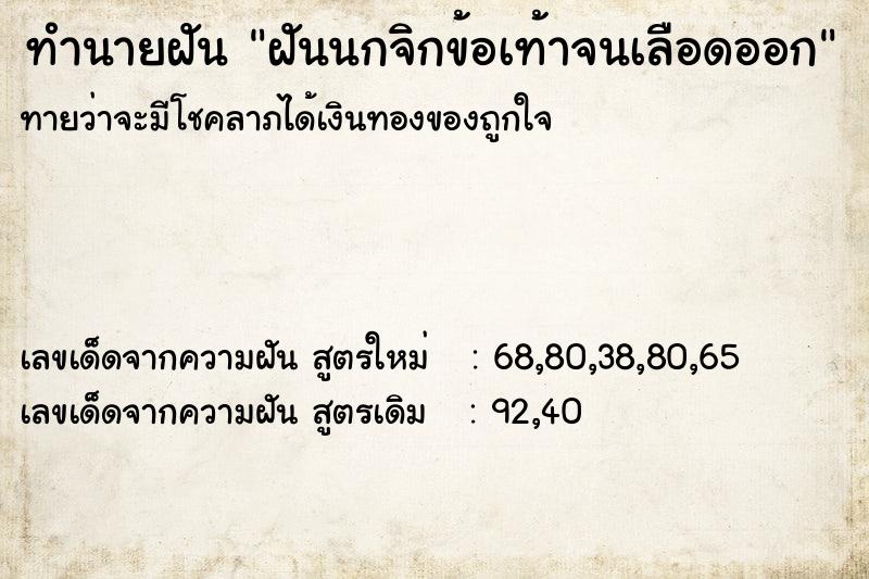 ทำนายฝันฝันนกจิกข้อเท้าจนเลือดออก ทำนายฝันทำนายฝันฝันนกจิกข้อเท้าจนเลือดออก