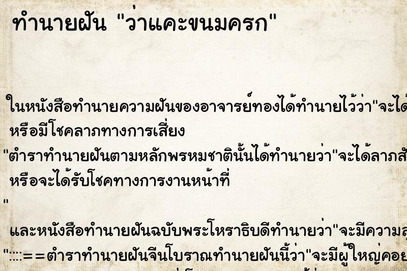 ทำนายฝัน ว่าแคะขนมครก ทำนายฝัน ว่าแคะขนมครก