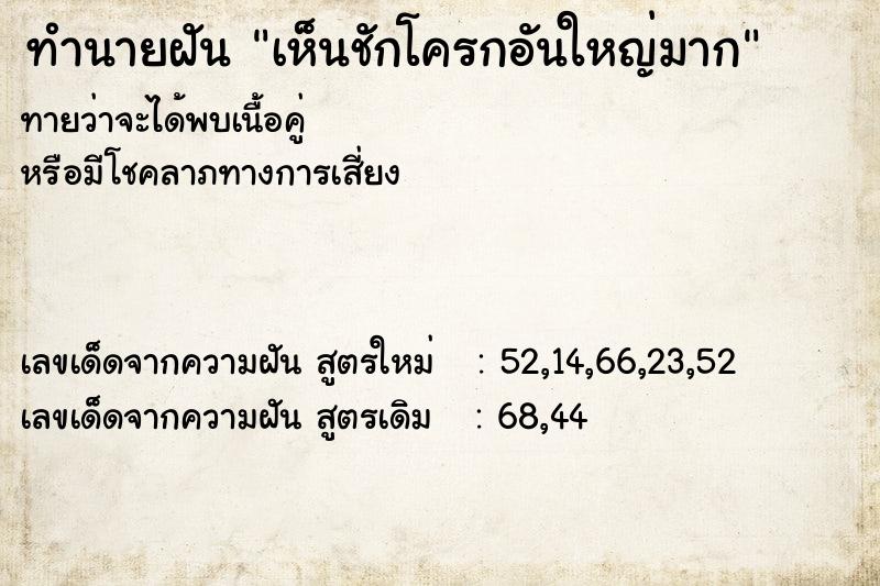 ทำนายฝันทำนายฝันเห็นชักโครกอันใหญ่มาก