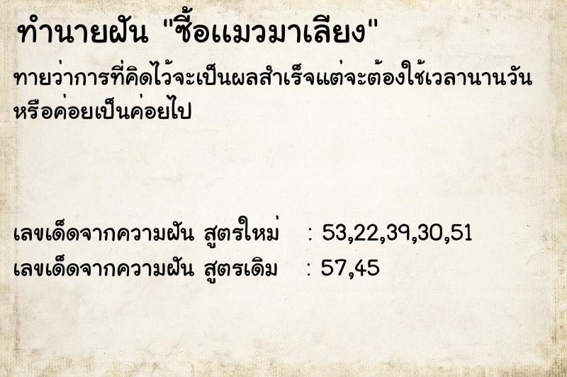 ทำนายฝันซี้อเเมวมาเลียง ทำนายฝันทำนายฝันซี้อเเมวมาเลียง