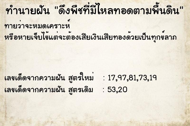 ทำนายฝันดึงพืชที่มีไหลทอดตามพื้นดิน ทำนายฝันทำนายฝันดึงพืชที่มีไหลทอดตามพื้นดิน