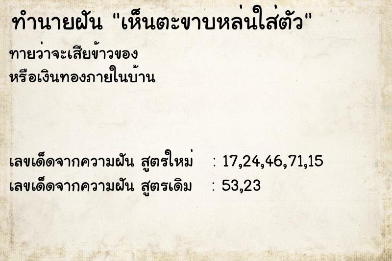 ทำนายฝันทำนายฝันเห็นตะขาบหล่นใส่ตัว