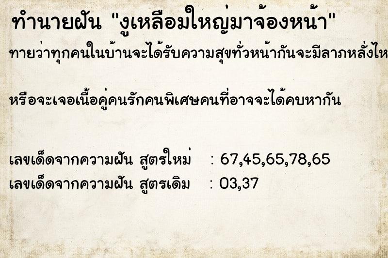 ทำนายฝันทำนายฝันงูเหลือมใหญ่มาจ้องหน้า