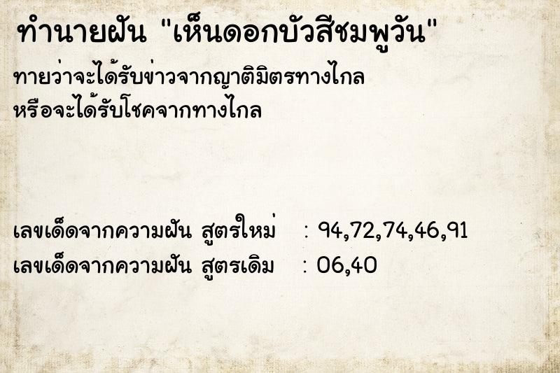 ทำนายฝันเห็นดอกบัวสีชมพูวัน ทำนายฝันทำนายฝันเห็นดอกบัวสีชมพูวัน