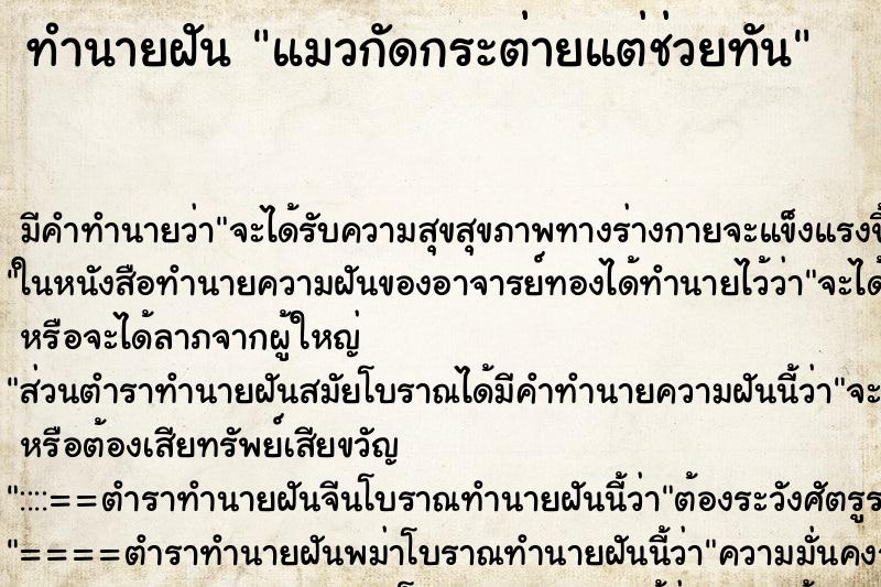 ทำนายฝัน แมวกัดกระต่ายแต่ช่วยทัน ทำนายฝัน แมวกัดกระต่ายแต่ช่วยทัน