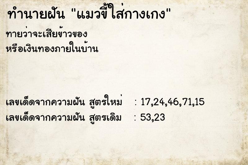 ทำนายฝันทำนายฝันแมวขี้ใส่กางเกง