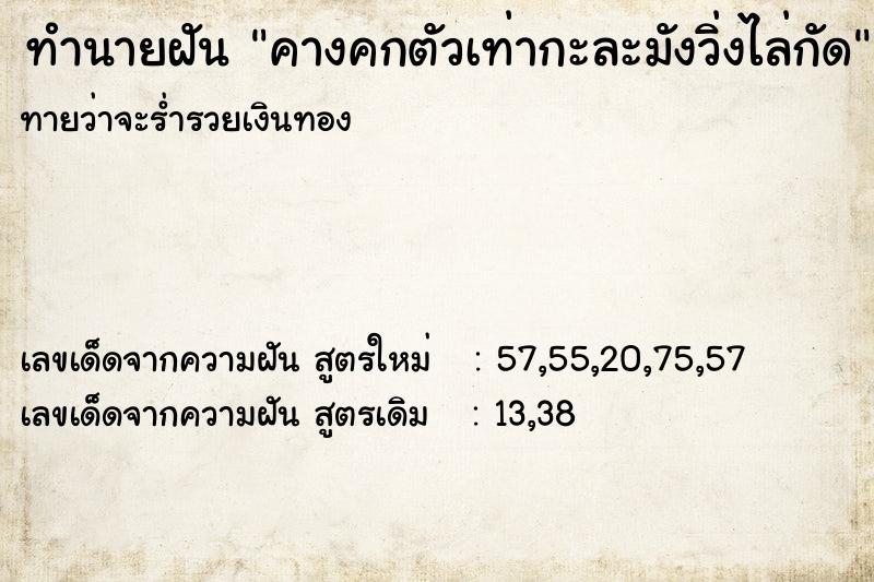 ทำนายฝันคางคกตัวเท่ากะละมังวิ่งไล่กัด ทำนายฝันทำนายฝันคางคกตัวเท่ากะละมังวิ่งไล่กัด