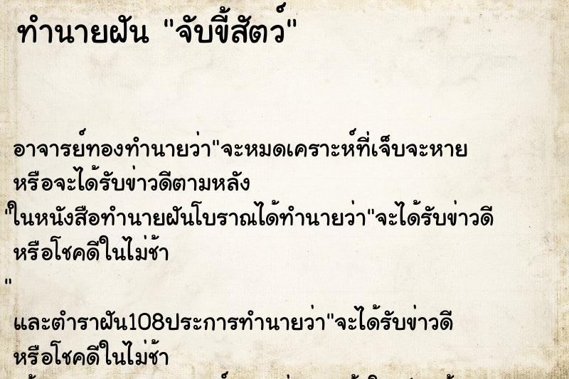ทำนายฝัน จับขี้สัตว์ ทำนายฝัน จับขี้สัตว์