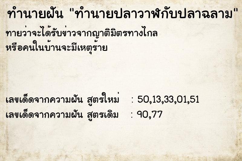 ทำนายฝันทำนายปลาวาฬกับปลาฉลาม ทำนายฝันทำนายฝันทำนายปลาวาฬกับปลาฉลาม