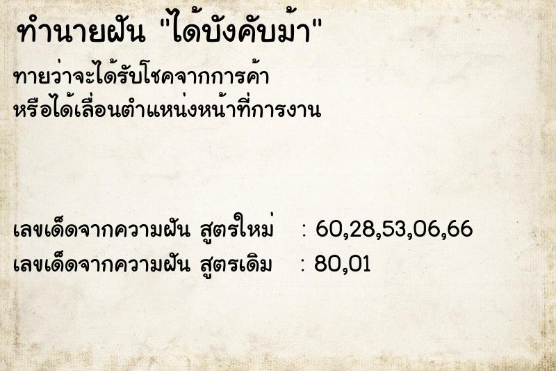 ทำนายฝันทำนายฝันได้บังคับม้า