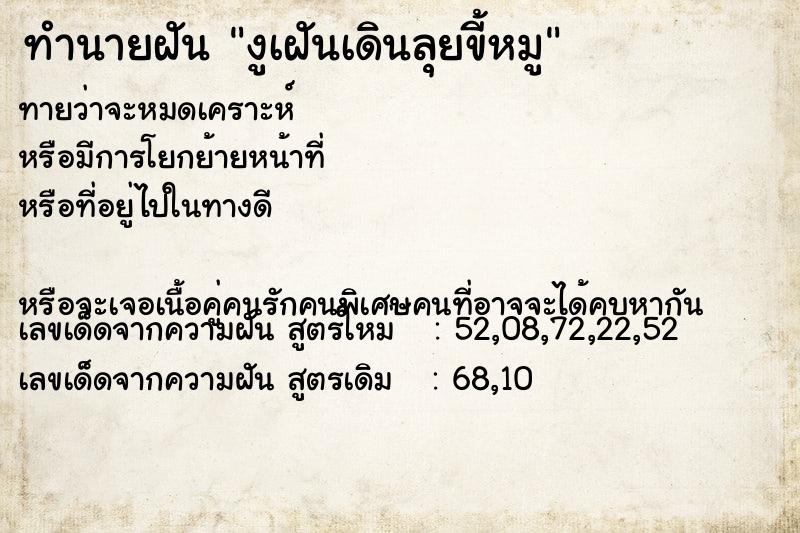 ทำนายฝัน งูเฝันเดินลุยขี้หมู