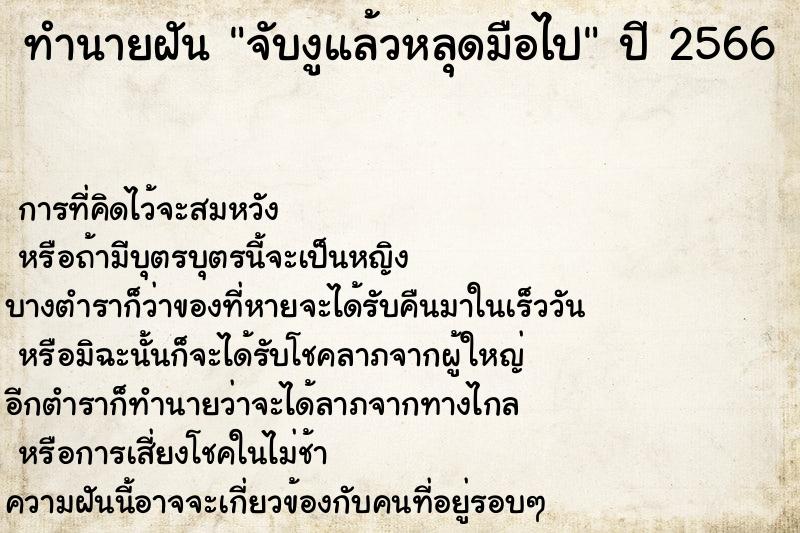 ทำนายฝันทำนายฝันจับงูแล้วหลุดมือไป