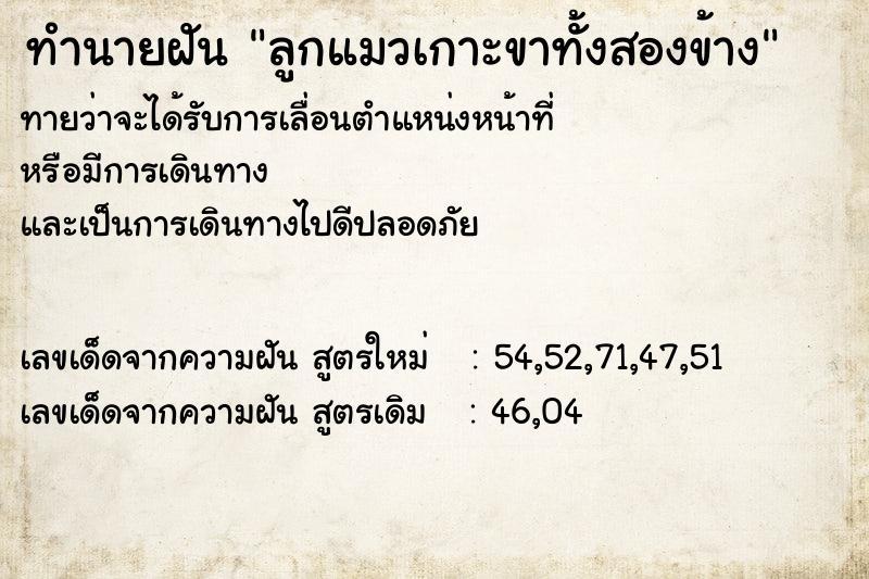 ทำนายฝัน ลูกแมวเกาะขาทั้งสองข้าง ทำนายฝัน ลูกแมวเกาะขาทั้งสองข้าง