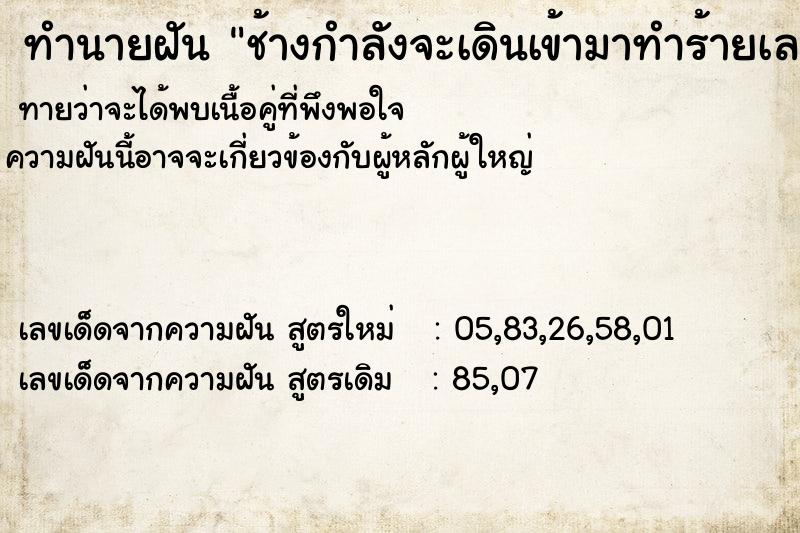 ทำนายฝันทำนายฝันช้างกำลังจะเดินเข้ามาทำร้ายเลยแอบแล้วก็หนี