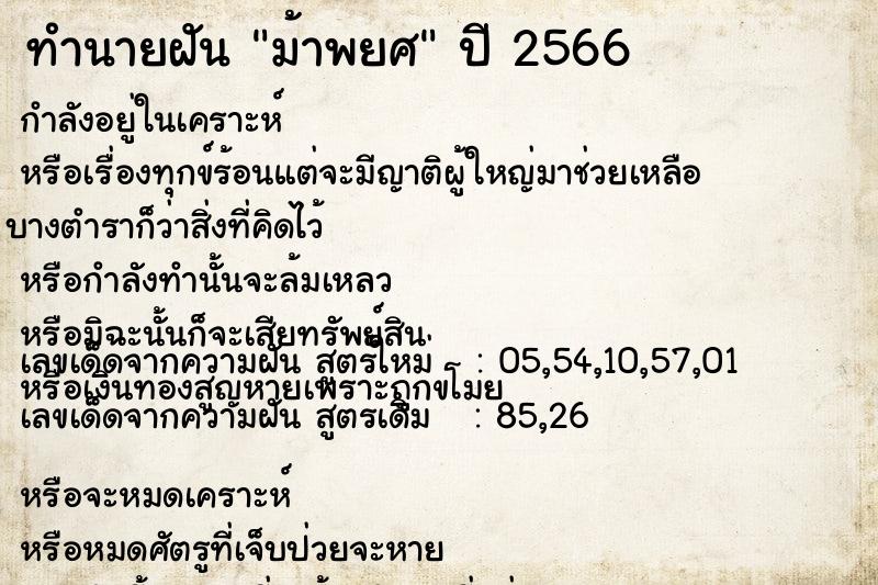 ทำนายฝัน ม้าพยศ ทำนายฝัน ม้าพยศ
