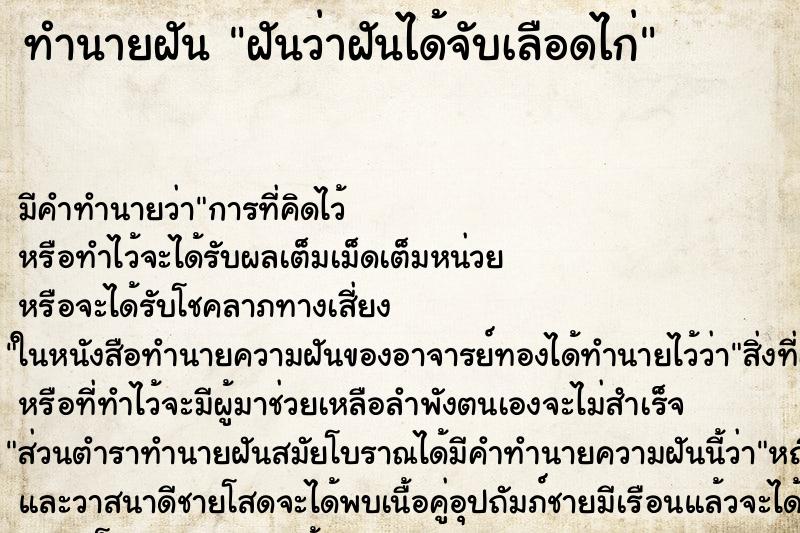 ทำนายฝันฝันว่าฝันได้จับเลือดไก่ ทำนายฝันทำนายฝันฝันว่าฝันได้จับเลือดไก่