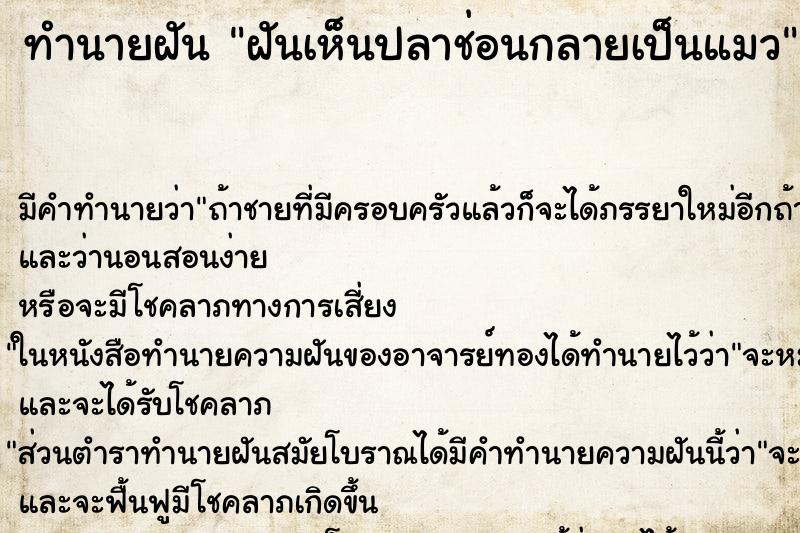 ทำนายฝันฝันเห็นปลาช่อนกลายเป็นแมว ทำนายฝันทำนายฝันฝันเห็นปลาช่อนกลายเป็นแมว