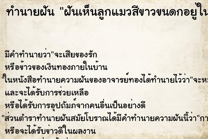 ทำนายฝันทำนายฝันฝันเห็นลูกแมวสีขาวขนดกอยู่ในน้ำ