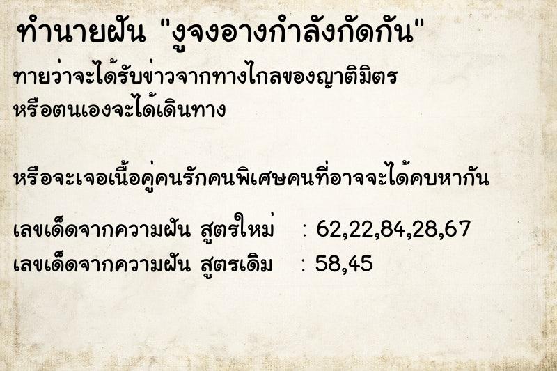 ทำนายฝันงูจงอางกำลังกัดกัน ทำนายฝันทำนายฝันงูจงอางกำลังกัดกัน