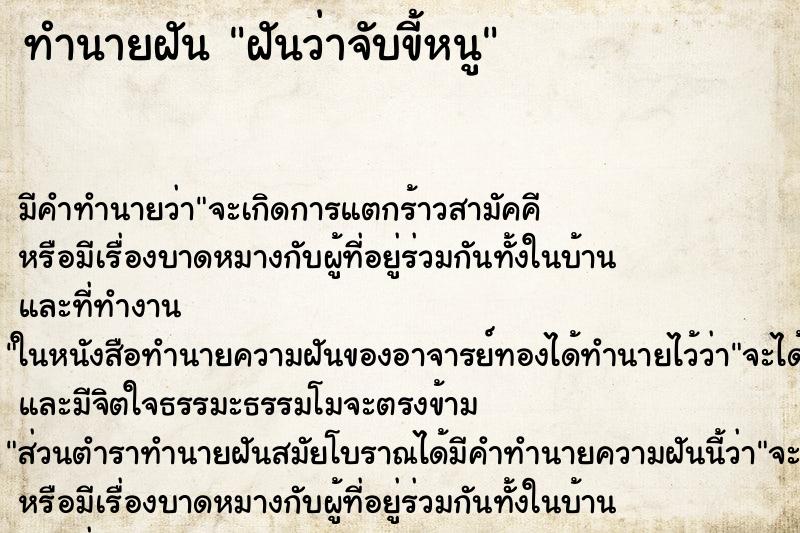 ทำนายฝัน ฝันว่าจับขี้หนู ทำนายฝัน ฝันว่าจับขี้หนู