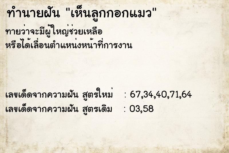ทำนายฝันทำนายฝันเห็นลูกกอกแมว