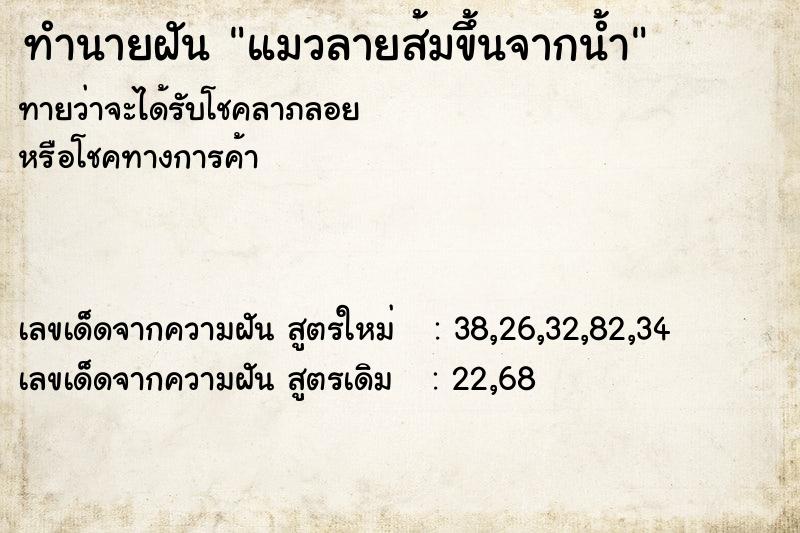 ทำนายฝันทำนายฝันแมวลายส้มขึ้นจากน้ำ