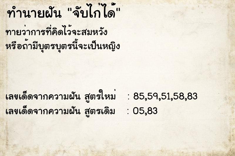 ทำนายฝันจับไก่ได้่ ทำนายฝันทำนายฝันจับไก่ได้่