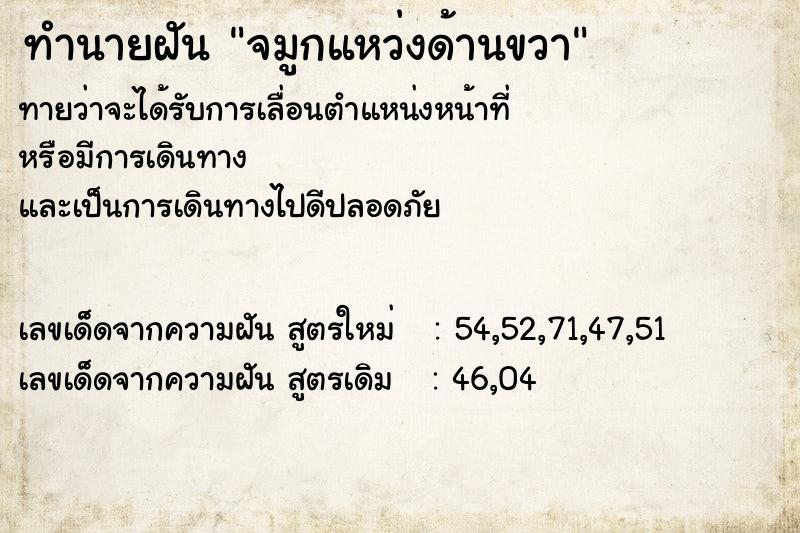 ทำนายฝันจมูกแหว่งด้านขวา ทำนายฝันทำนายฝันจมูกแหว่งด้านขวา