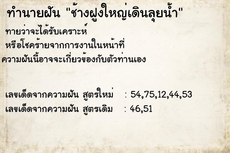 ทำนายฝันช้างฝูงใหญ่เดินลุยน้ำ ทำนายฝันทำนายฝันช้างฝูงใหญ่เดินลุยน้ำ
