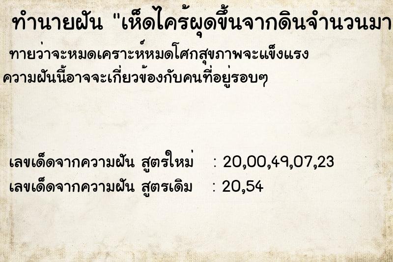 ทำนายฝันทำนายฝันเห็ดไคร้ผุดขึ้นจากดินจำนวนมาก