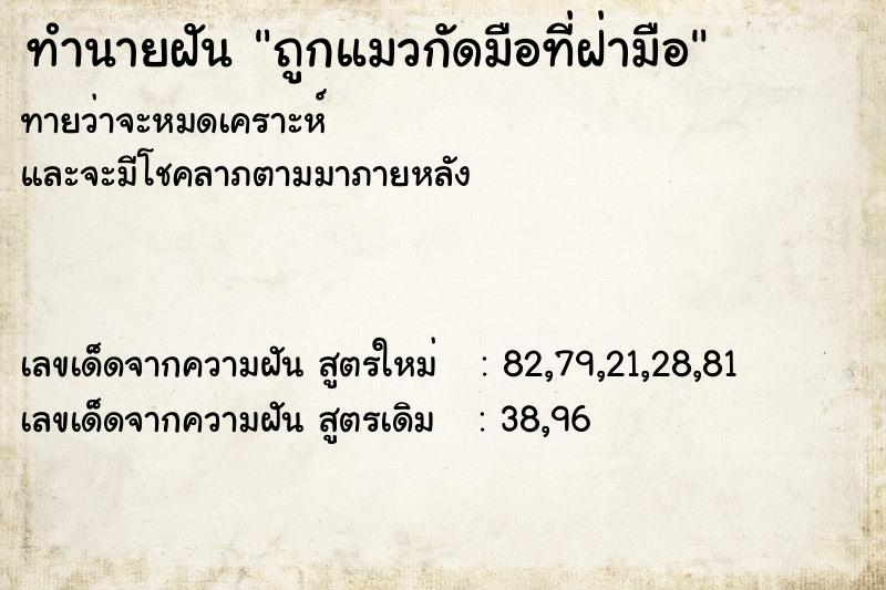 ทำนายฝันทำนายฝันถูกแมวกัดมือที่ฝ่ามือ