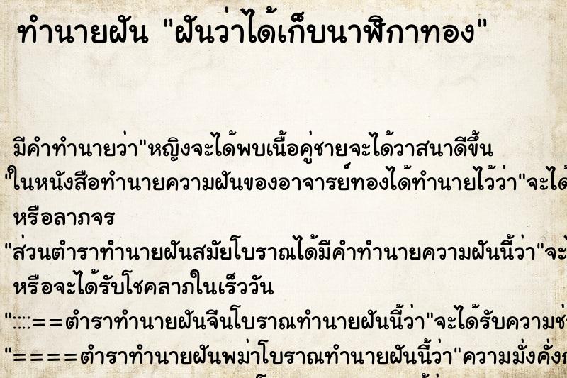 ทำนายฝัน ฝันว่าได้เก็บนาฬิกาทอง ทำนายฝัน ฝันว่าได้เก็บนาฬิกาทอง