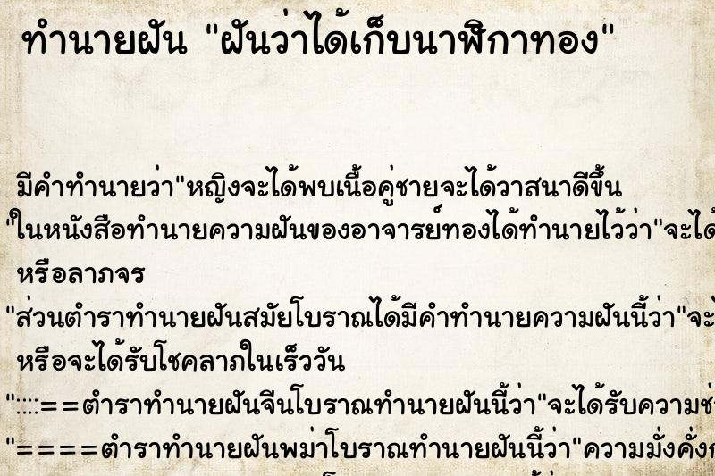 ทำนายฝัน ฝันว่าได้เก็บนาฬิกาทอง ตำราโบราณ แม่นที่สุดในโลก