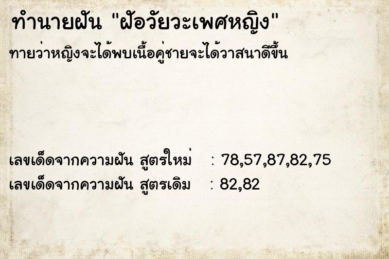 ทำนายฝันฝัอวัยวะเพศหญิง ทำนายฝันทำนายฝันฝัอวัยวะเพศหญิง