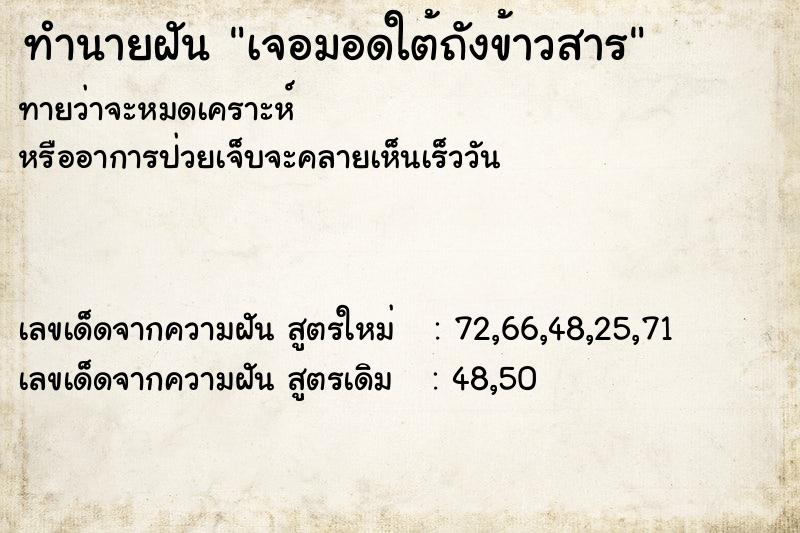 ทำนายฝัน เจอมอดใต้ถังข้าวสาร ทำนายฝัน เจอมอดใต้ถังข้าวสาร