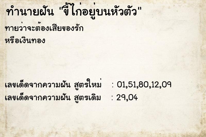ทำนายฝัน ขี้ไก่อยู่บนหัวตัว ทำนายฝัน ขี้ไก่อยู่บนหัวตัว