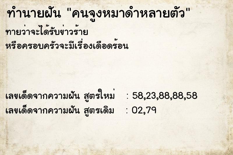 ทำนายฝันคนจูงหมาดำหลายตัว ทำนายฝันทำนายฝันคนจูงหมาดำหลายตัว