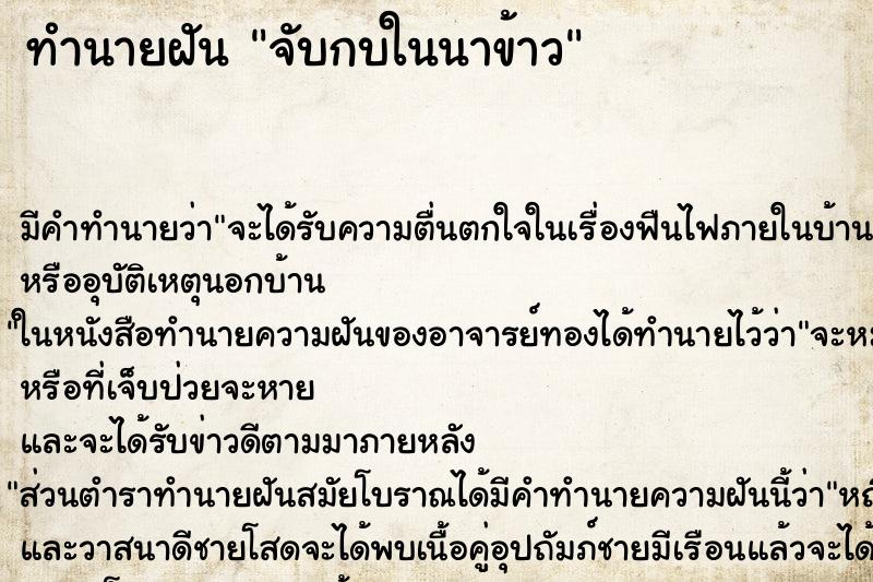ทำนายฝัน จับกบในนาข้าว ทำนายฝัน จับกบในนาข้าว