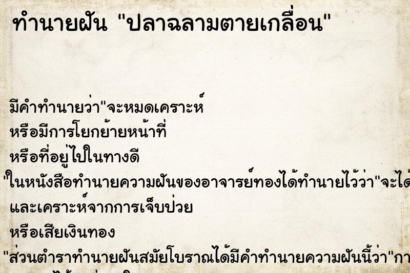 ทำนายฝัน ปลาฉลามตายเกลื่อน