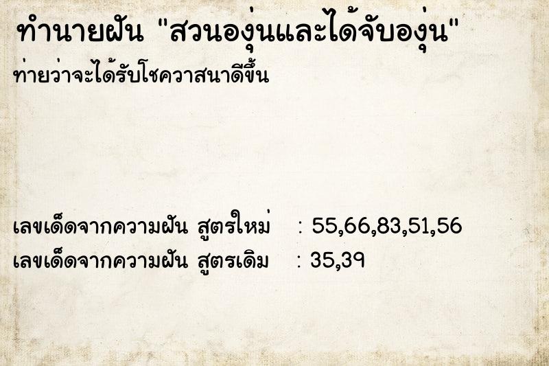 ทำนายฝันทำนายฝันสวนองุ่นและได้จับองุ่น